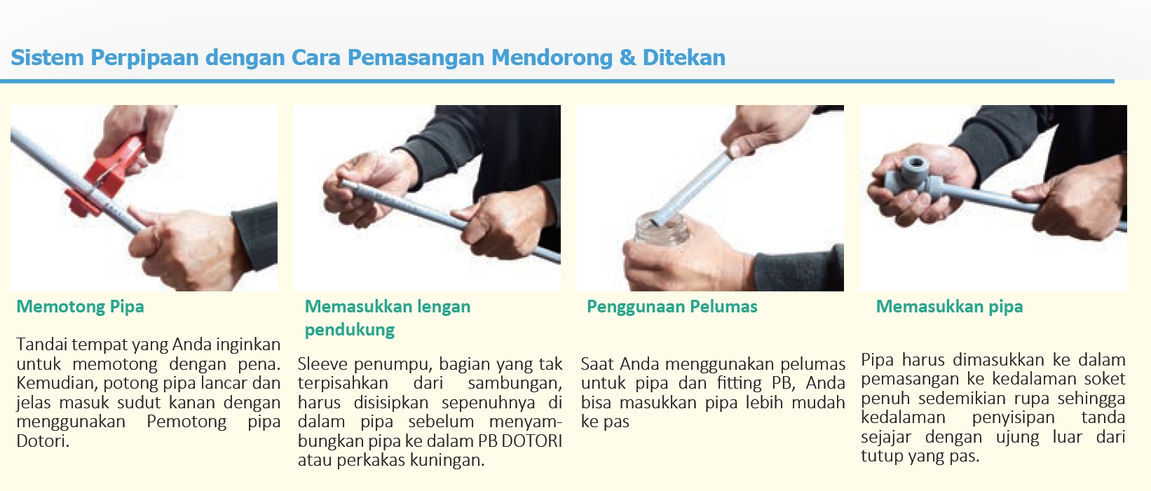 Pipa Dotori